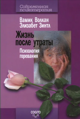 Вамик Волкан.PNG
